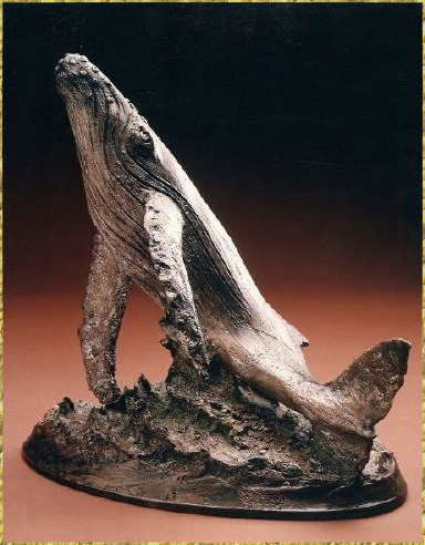 Humpback Whale
